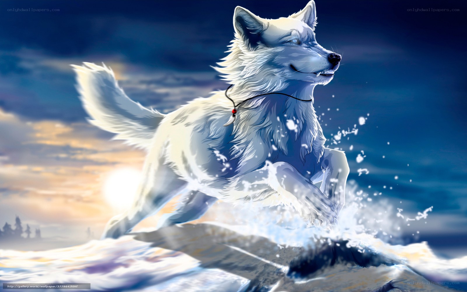 White wolf running on snow