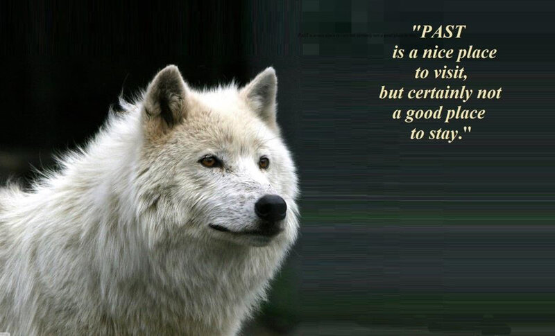 White Wolf — Serious