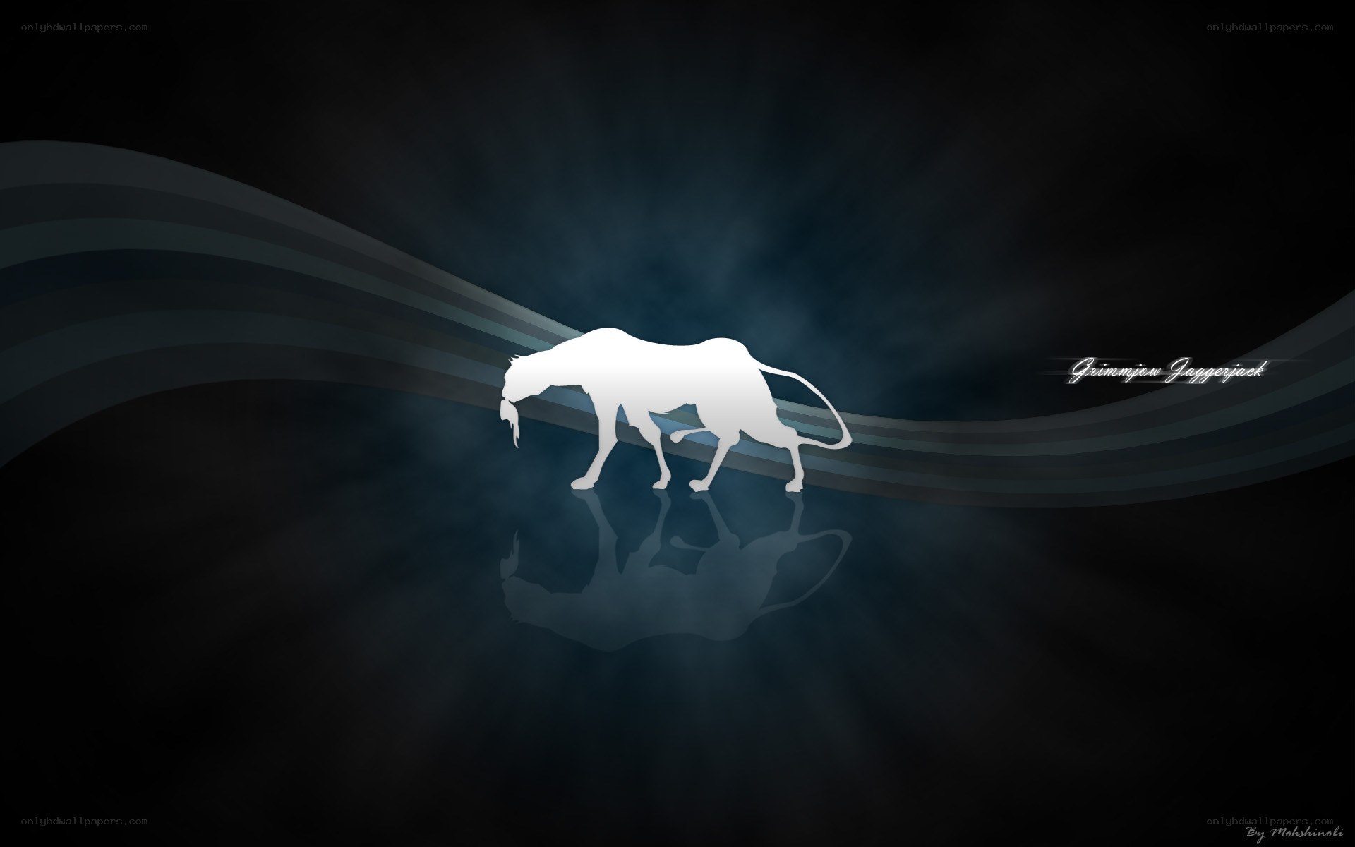 White wolf silhouette on dark background