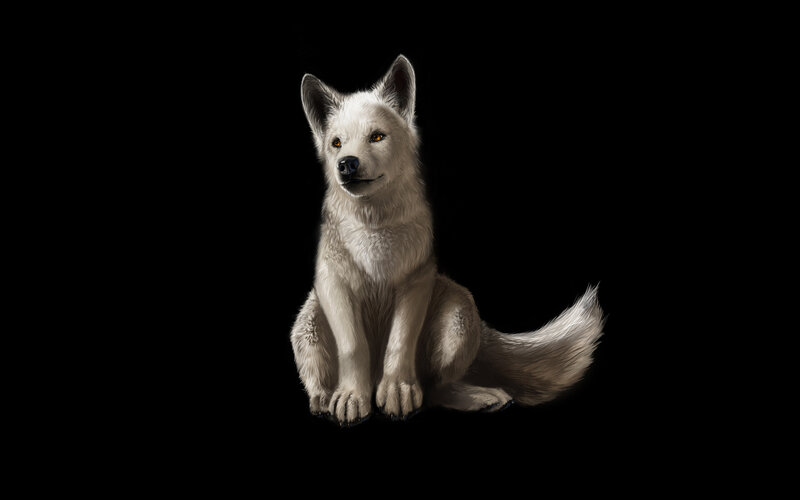 White Wolf Sitting — Dramatic, Digital Art, Black Background