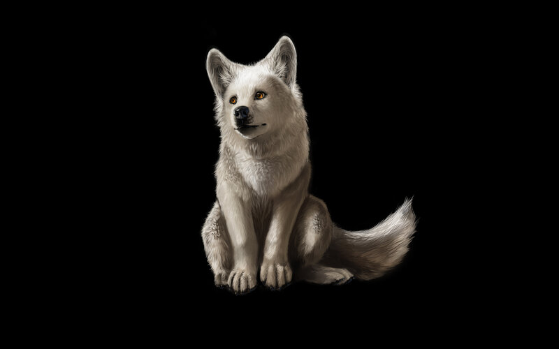 White Wolf Sitting — Dramatic, Digital Art