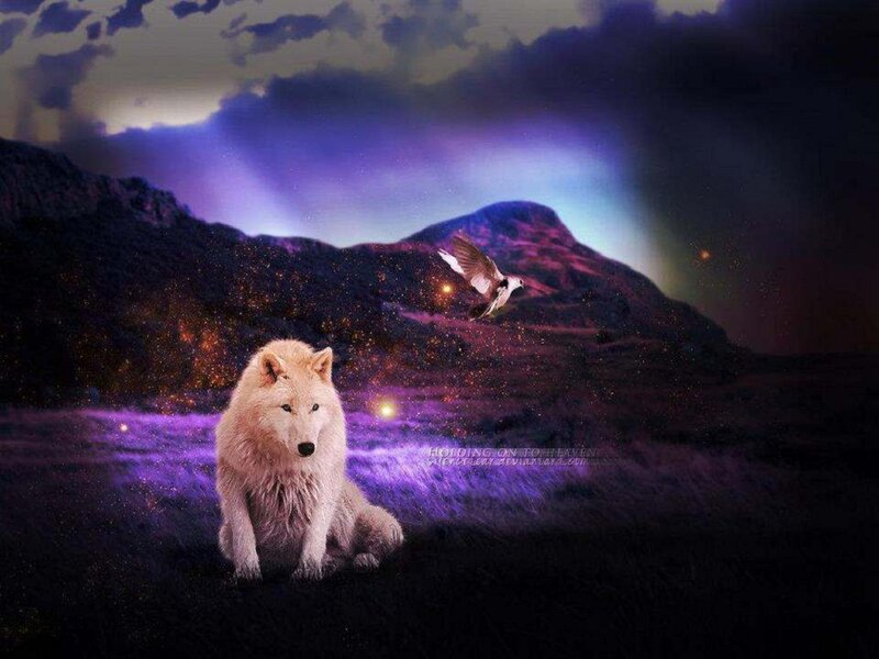 White Wolf Sitting — Purple