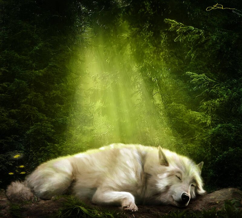 White Wolf Sleeping — Green