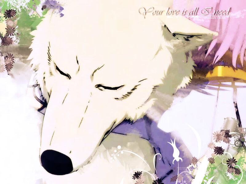 White Wolf Sleeping — Serene