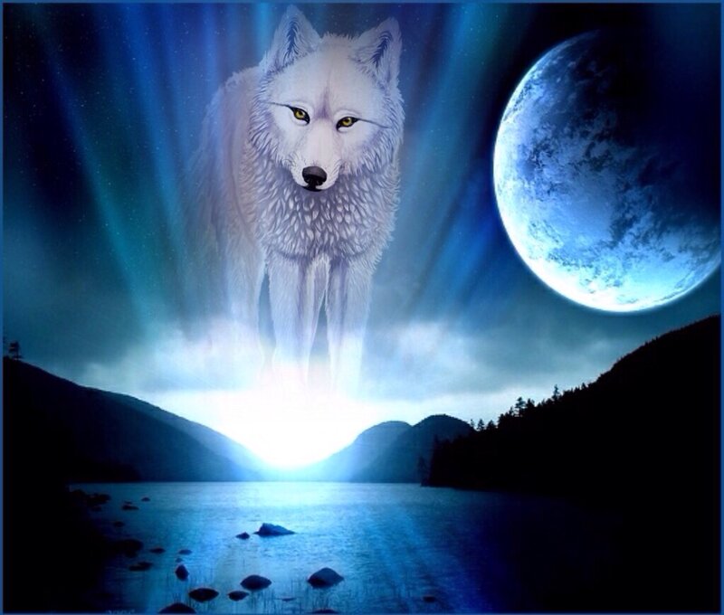 White Wolf Standing — Blue, Dramatic, Night, Digital Art