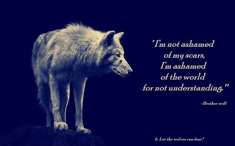 White Wolf Standing — Blue, Dramatic, Night