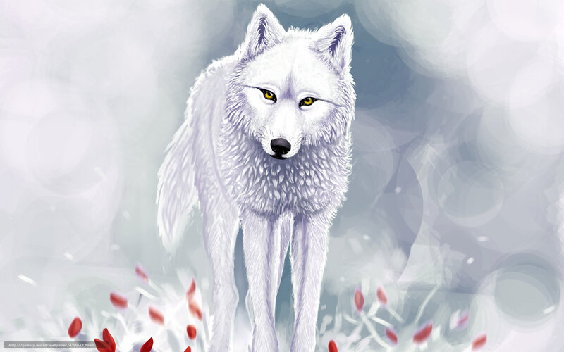 White Wolf Standing — Calm, Winter, Digital Art, Red Leaves