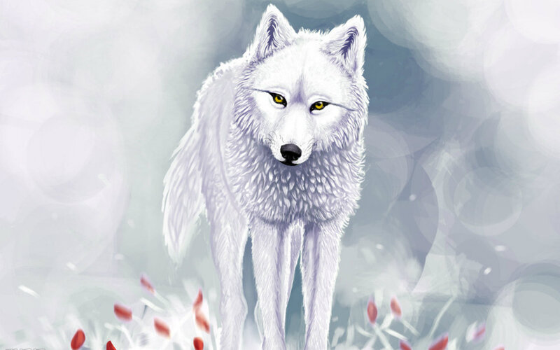 White Wolf Standing — Calm, Winter, Digital Art, Red Petals