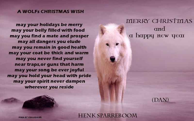 White Wolf Standing — Purple, Serene