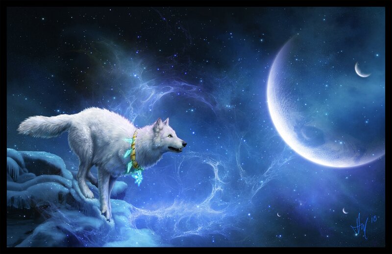 white wolf under the moon