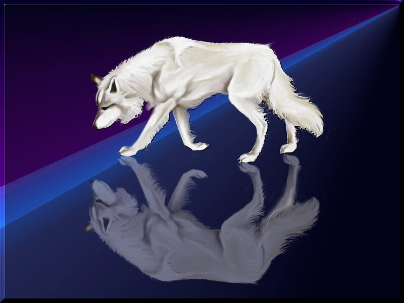 White Wolf Walking — Purple