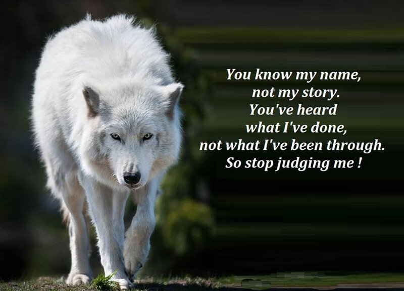 White Wolf Walking — Serious