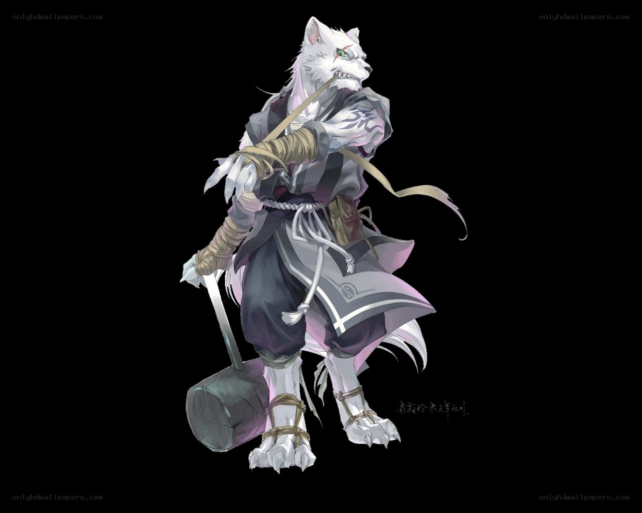 white wolf warrior character