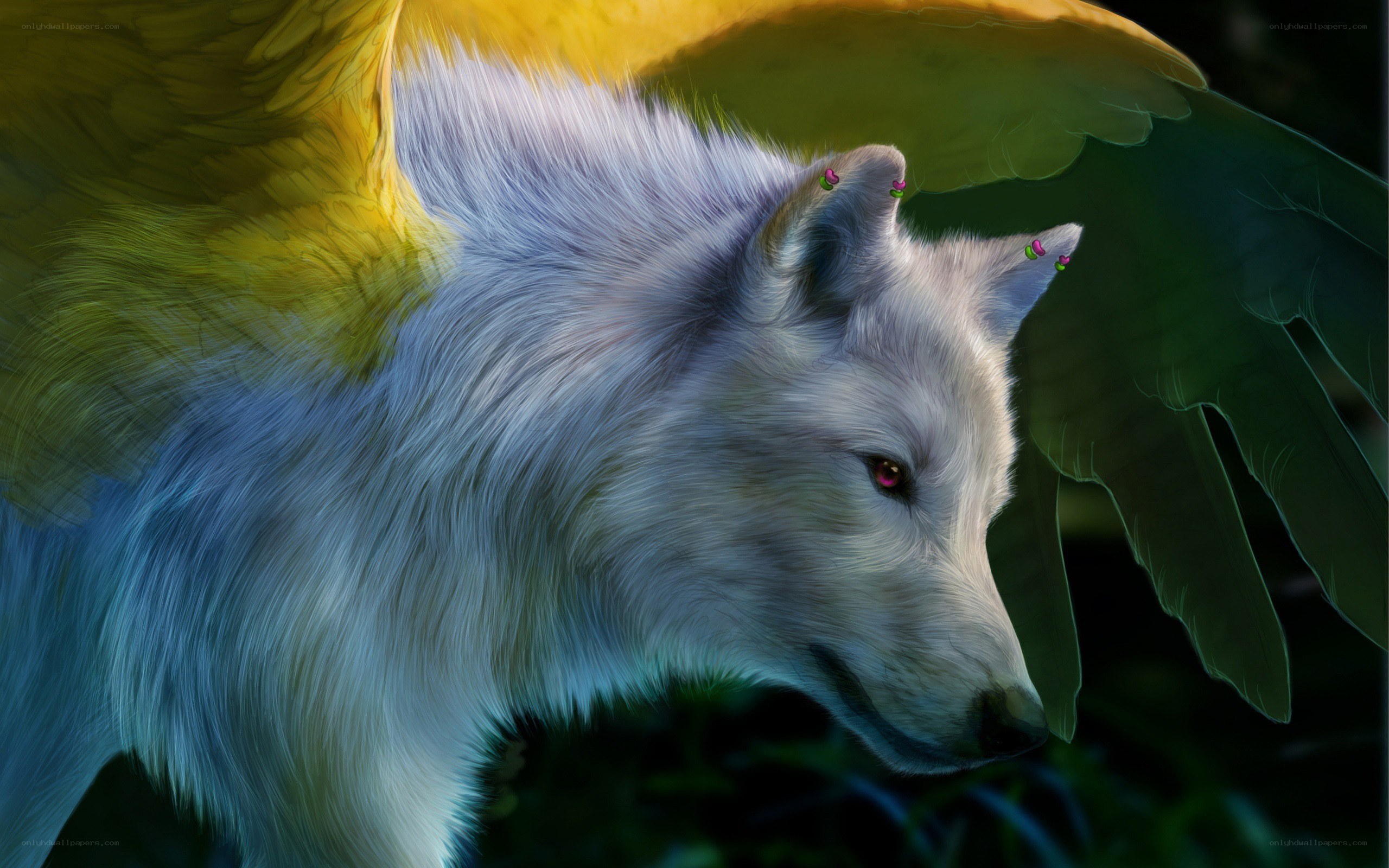 white wolf with angel wings