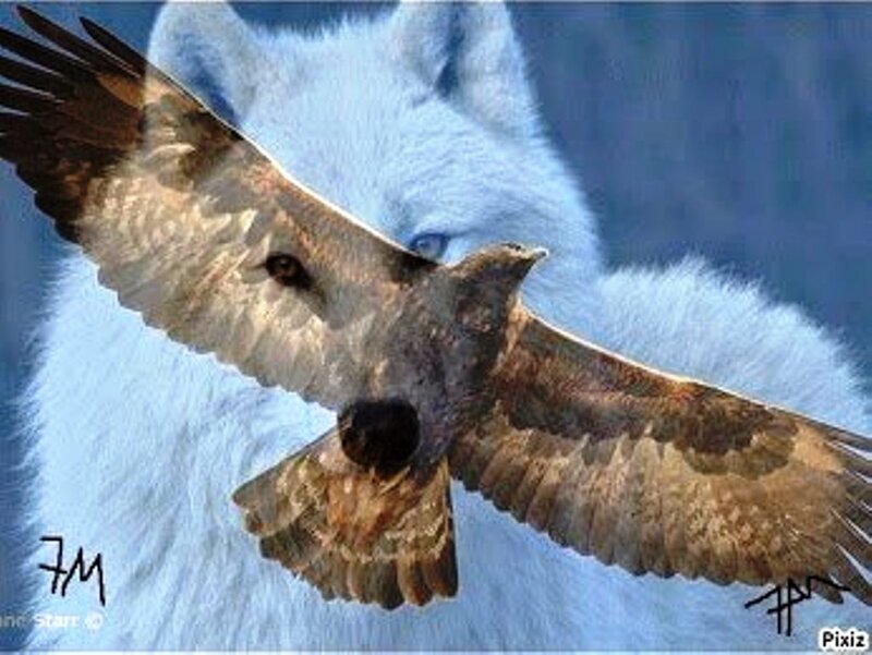 White Wolf with Bird