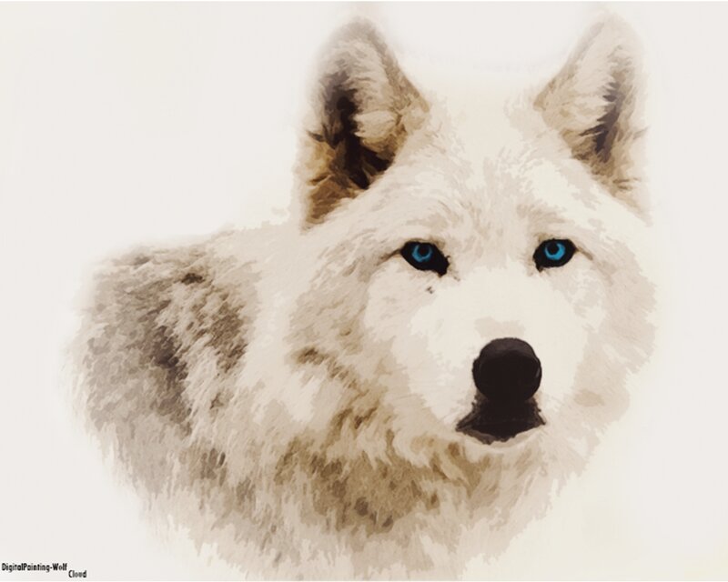 White Wolf with Blue Eyes — Calm, Digital Art