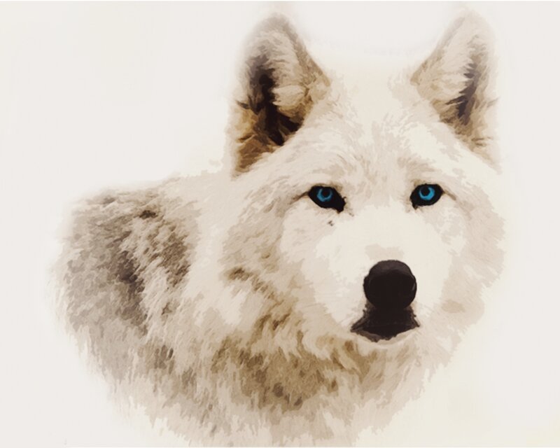 White Wolf with Blue Eyes — Calm, Painting