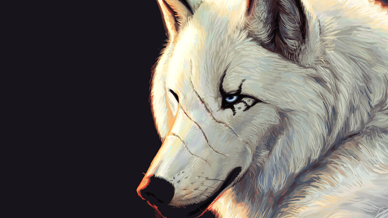 White Wolf with Blue Eyes — Dramatic, Digital Art, Blue Eyes, Dark Background