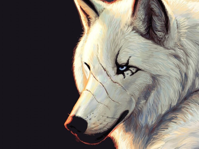White Wolf with Blue Eyes — Dramatic, Digital Art, Blue Eyes