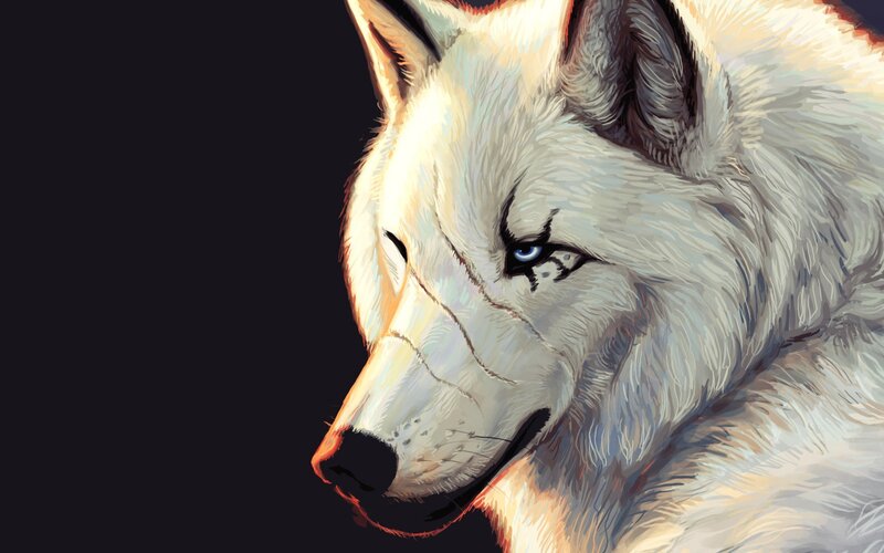 White Wolf with Blue Eyes — Dramatic, Digital Art, Dark Background