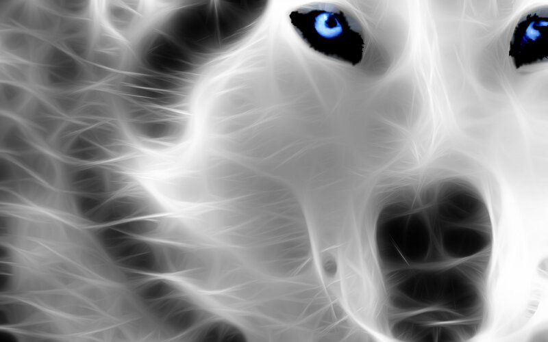 White Wolf with Blue Eyes — Dramatic, Digital Art, Fur