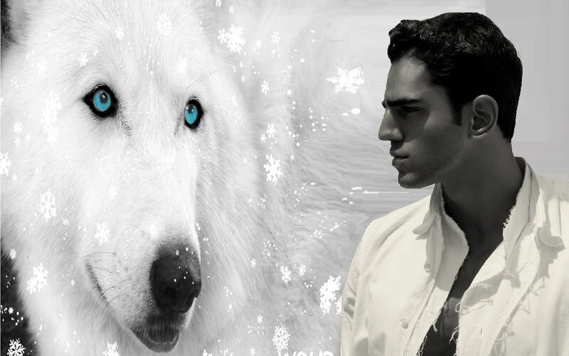 White Wolf with Blue Eyes — Dramatic