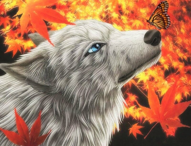 White Wolf with Blue Eyes — Red