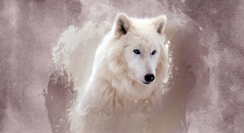 White Wolf with Blue Eyes — Serene, Digital Art