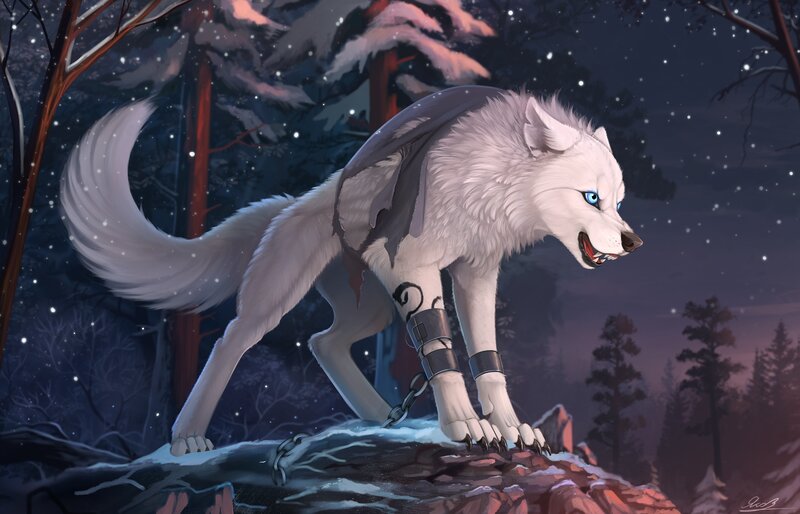 White Wolf with Chains — Dramatic