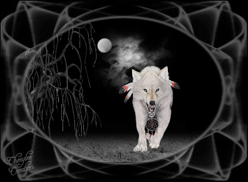 White Wolf with Dreamcatcher
