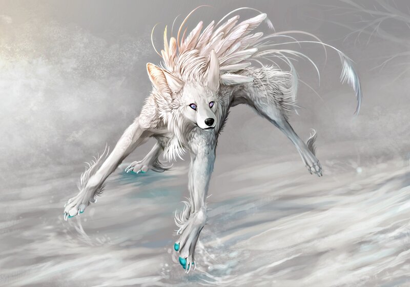 White Wolf with Feathers — Dynamic
