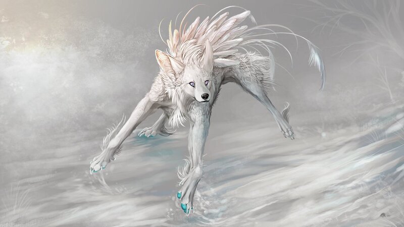 White Wolf with Feathers