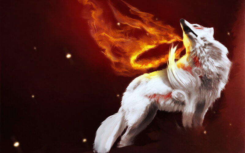 White Wolf with Flames — Red, Dramatic, Night, Digital Art, Stars, Fire