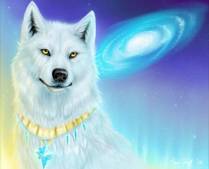 White wolf with galaxy background