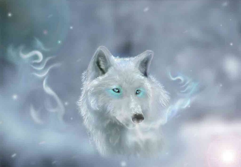 White Wolf with Glowing Eyes — Mystical, Winter