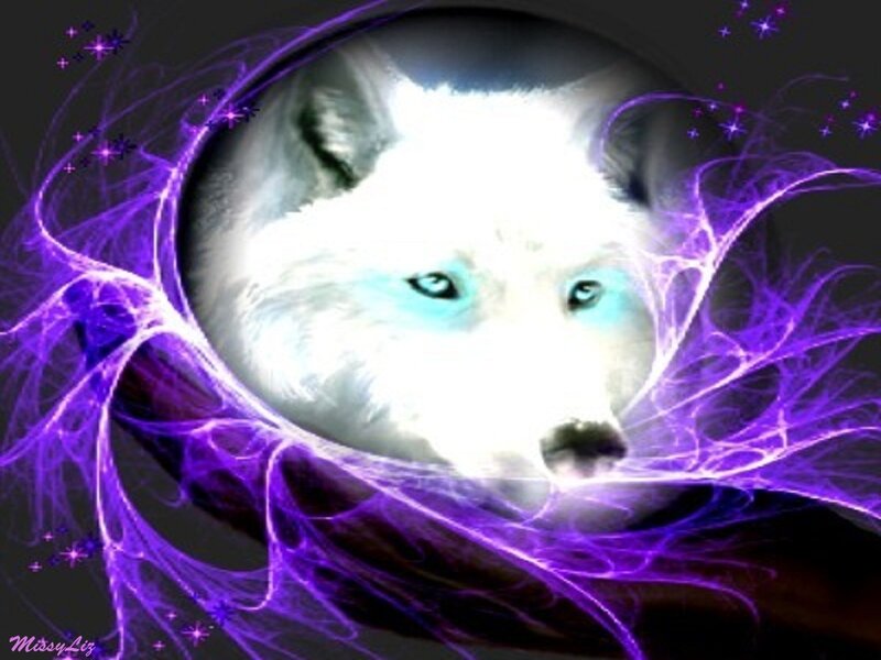 White Wolf with Glowing Eyes — Purple