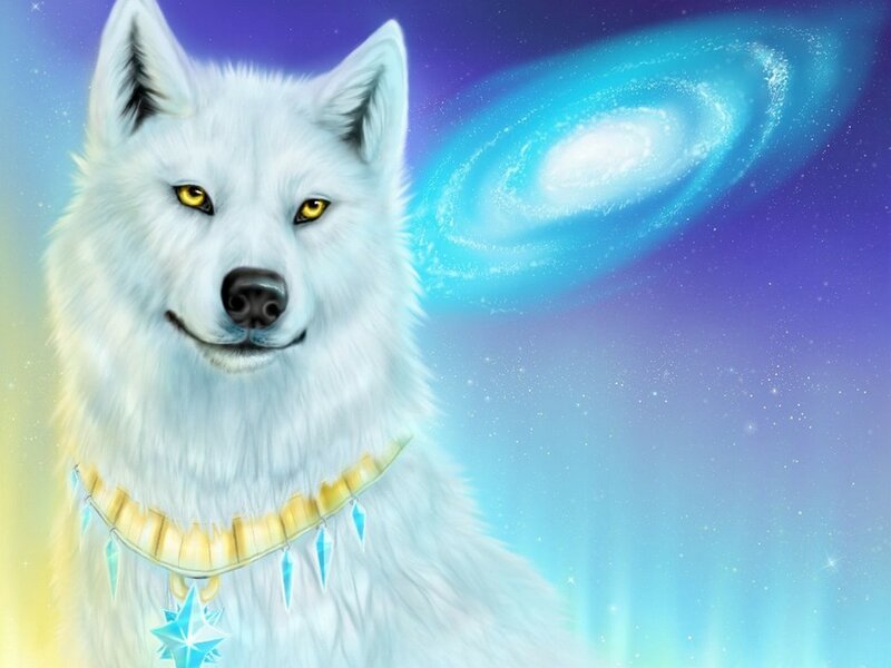 White Wolf with Necklace — Blue, Serene