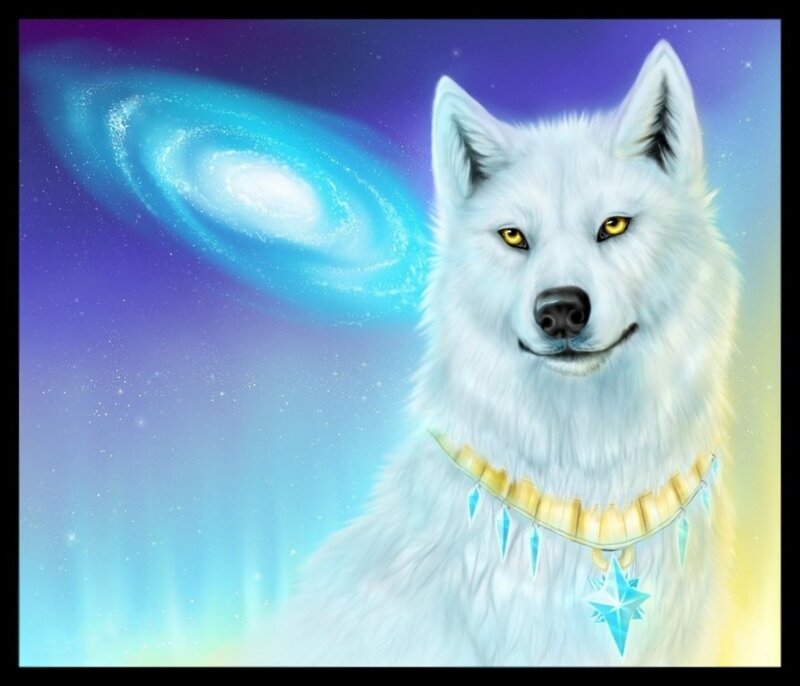 White Wolf with Necklace