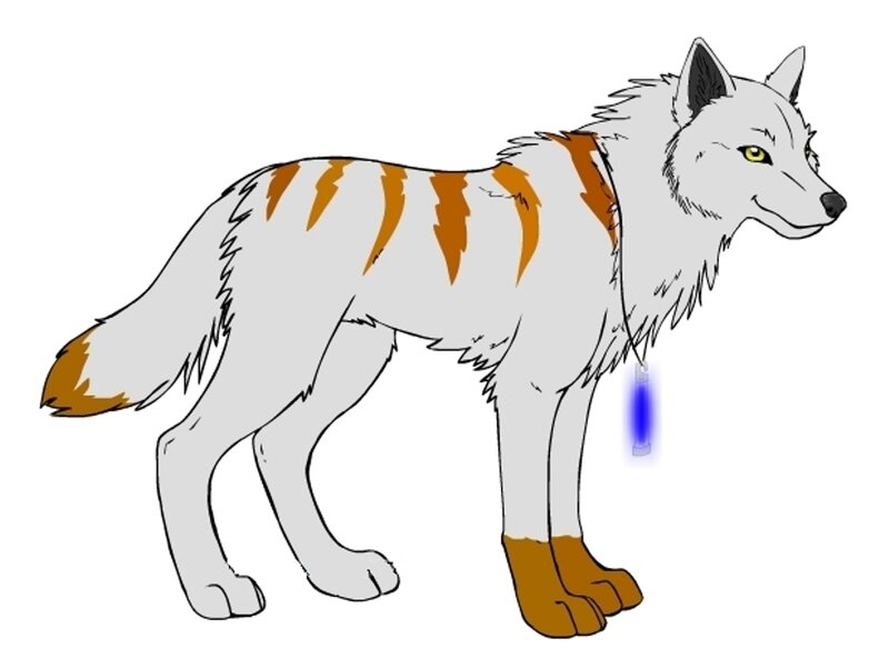White Wolf with Orange Stripes
