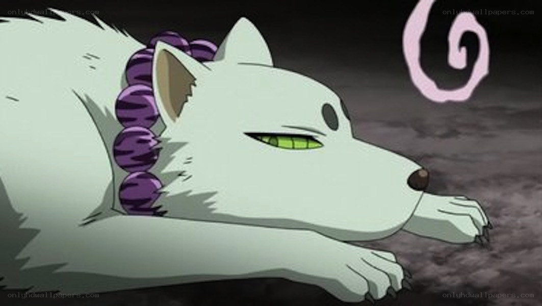 white wolf with purple beads