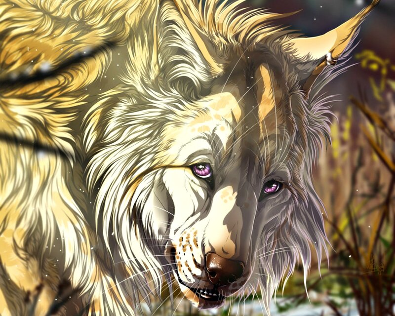 White Wolf with Purple Eyes