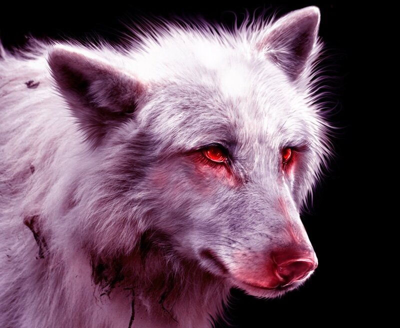 White Wolf with Red Eyes — Dramatic