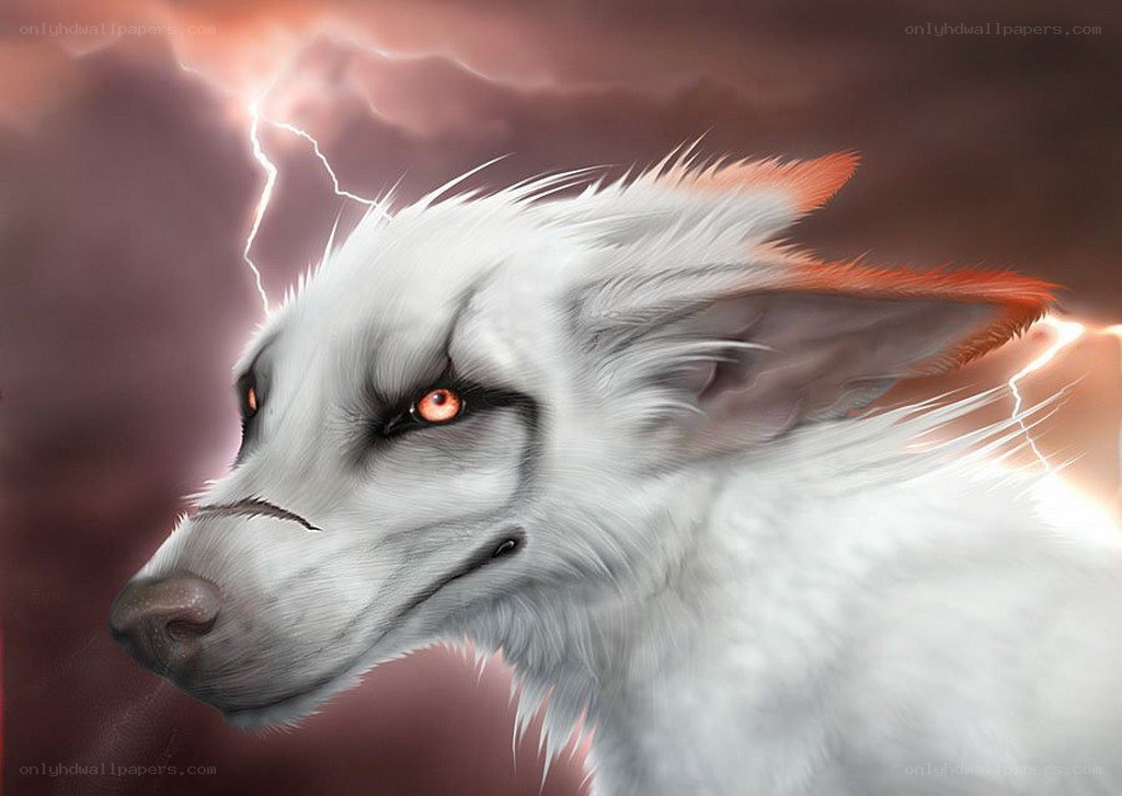 white wolf with red eyes