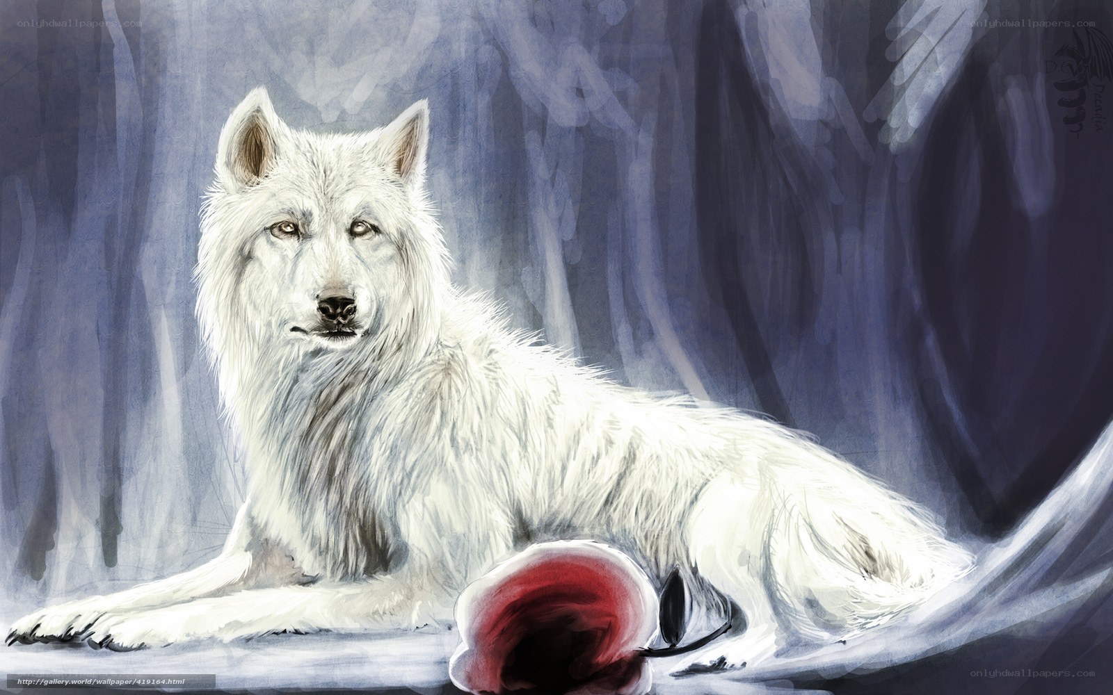White wolf with red rose