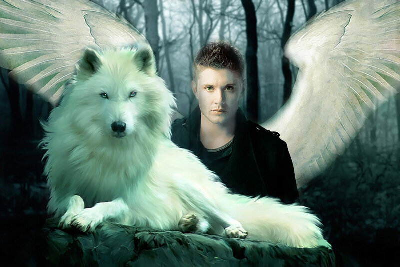 White Wolf with Wings — Dramatic, Night