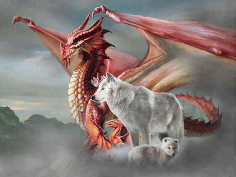 White Wolves and Red Dragon