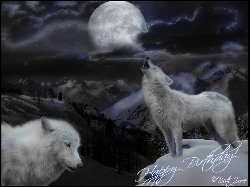 White Wolves Howling — Dramatic, Night