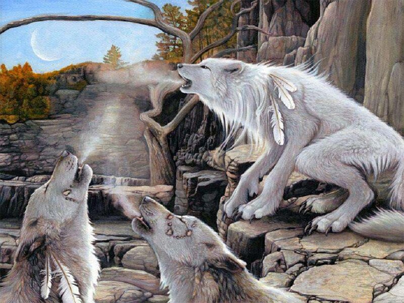 White Wolves Howling — Dramatic