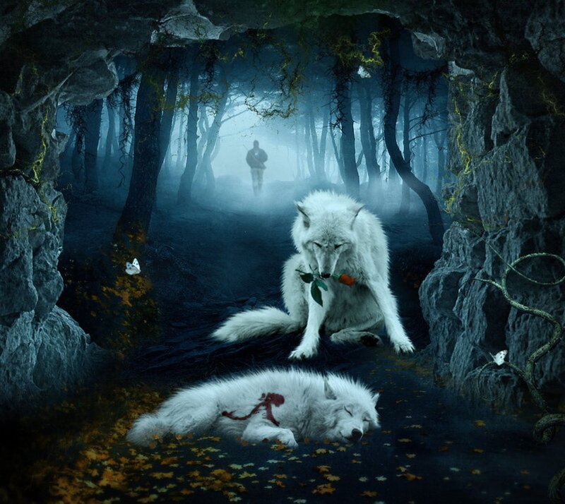 White Wolves in Forest — Blue, Dramatic