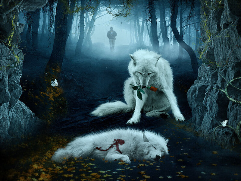 White Wolves in Forest — Blue